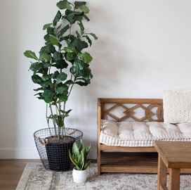 Gallery_1